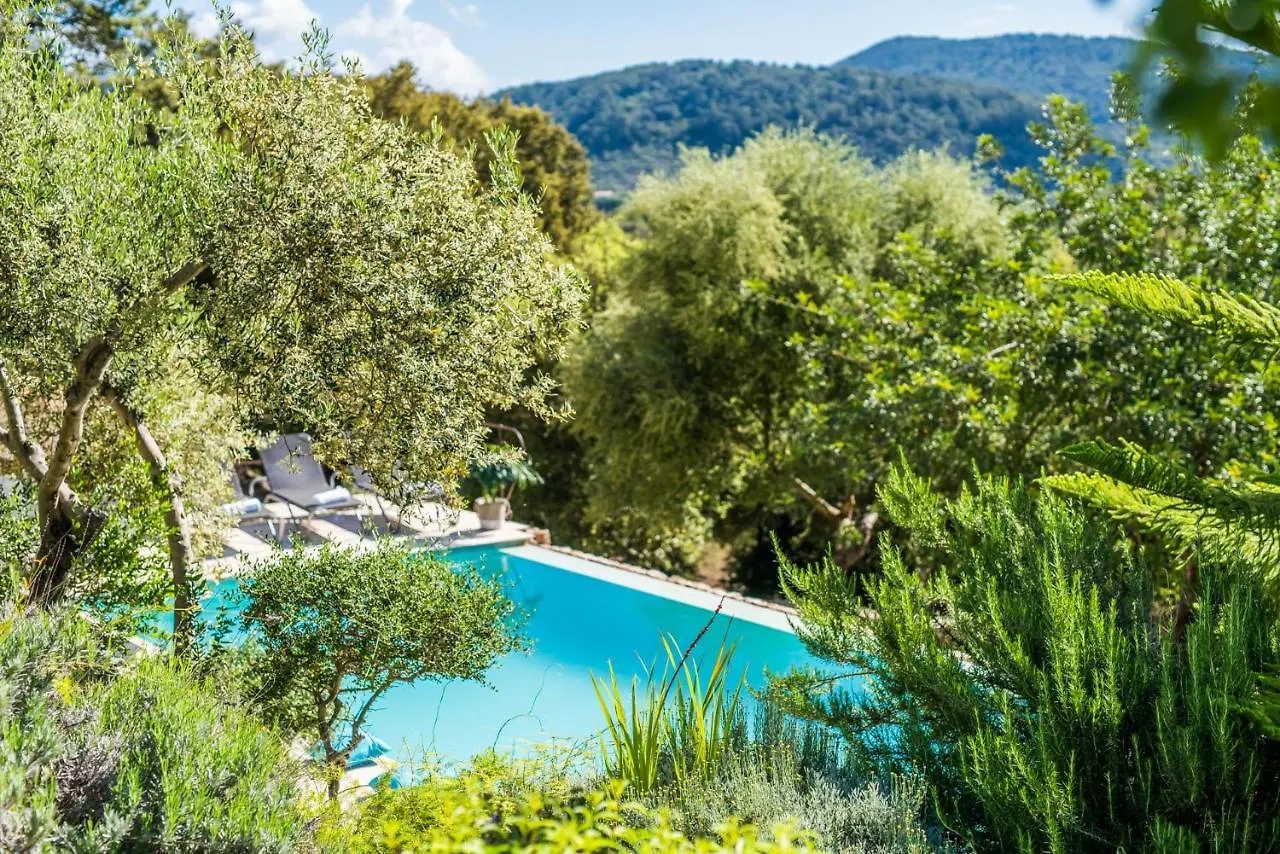 Ideal Property Mallorca - Es Rafal Campanet